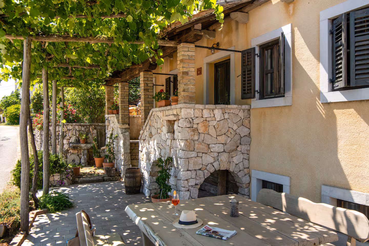 Covered terrace with vine